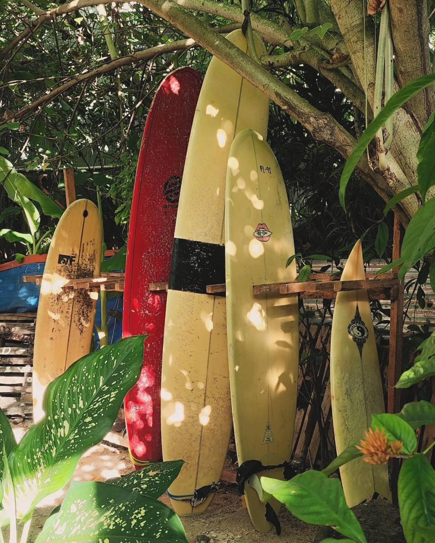 بيت شباب Wave Retreat جنرال لونا المظهر الخارجي الصورة